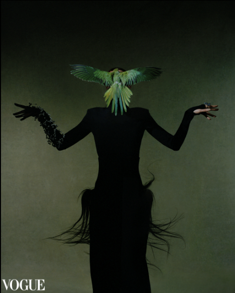 Inside the Extraordinary Visual World of Han Yang